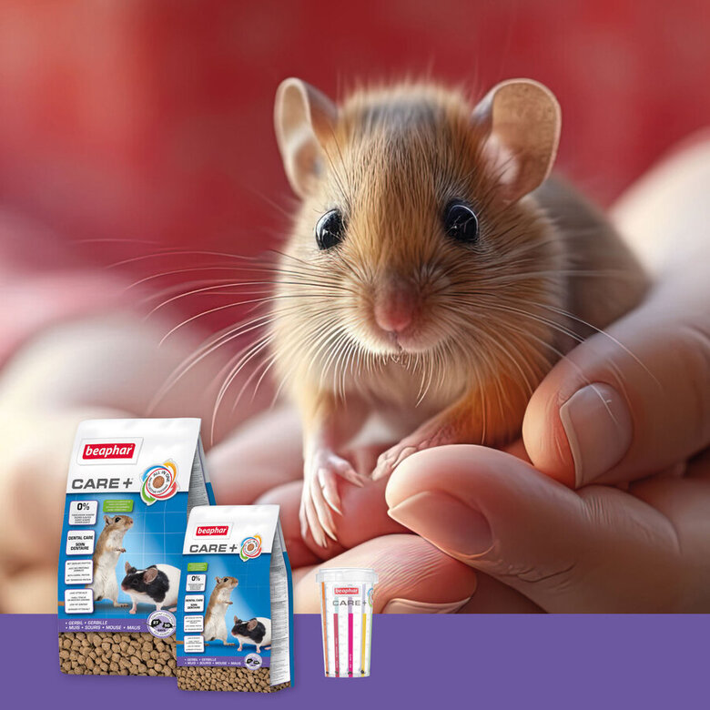 Beaphar Care+ Pienso para jerbos y ratones, , large image number null
